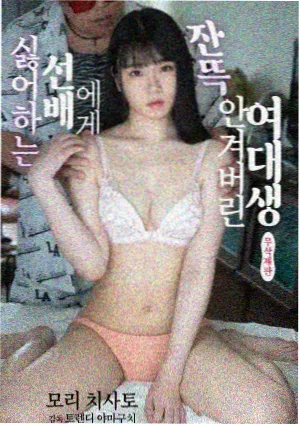 长夜灯塔 剧集封面
